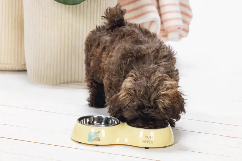 Beeztees Puppy Dinerset Kroky 27x14x4,5 cm — Geel