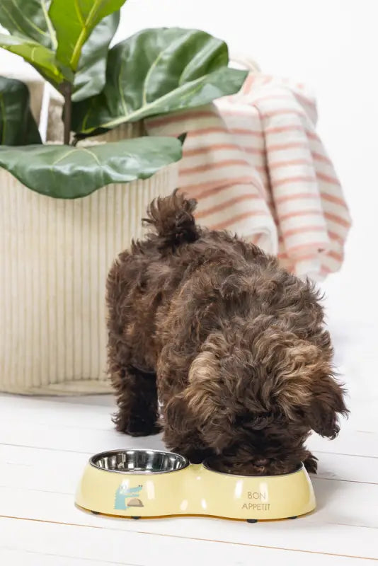 Beeztees Puppy Dinerset Kroky 27x14x4,5 cm — Geel