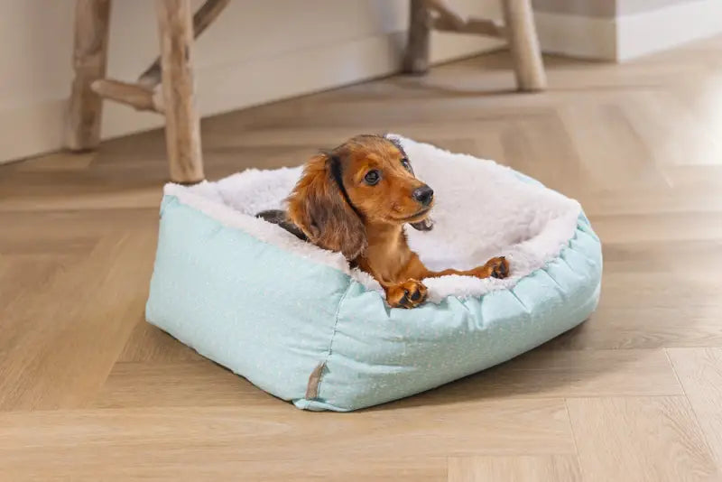 Beeztees Puppy Hondenmand Nappy 50x42x18 cm — Blauw