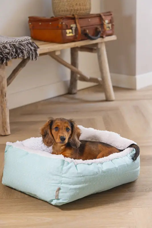 Beeztees Puppy Hondenmand Nappy 50x42x18 cm — Blauw