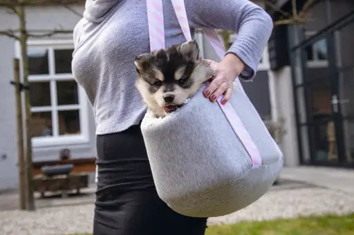 Beeztees Puppy Hondentas Wolly 45x24x26 cm — Grijs - HONDENTAS