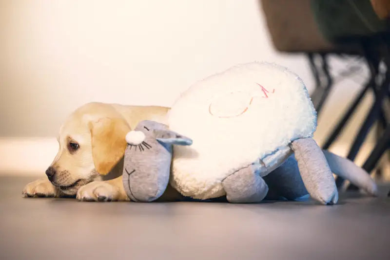 Beeztees Puppy Knuffel Heartbeat 35 cm