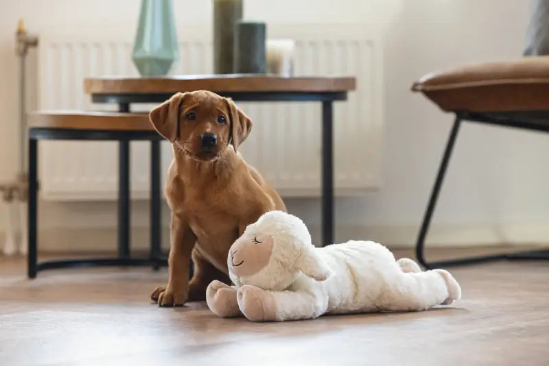 Beeztees Puppy Knuffel Heartbeat Bowi