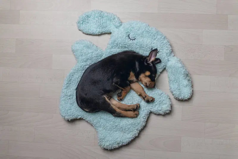 Beeztees Puppy Kussen Pimba 60x56x5 cm — Blauw