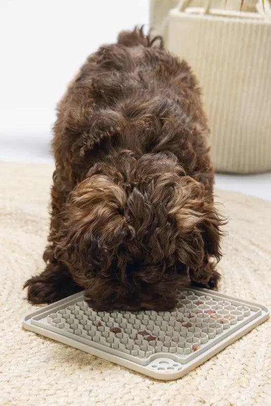 Beeztees Puppy Likmat Diza 20x20 cm