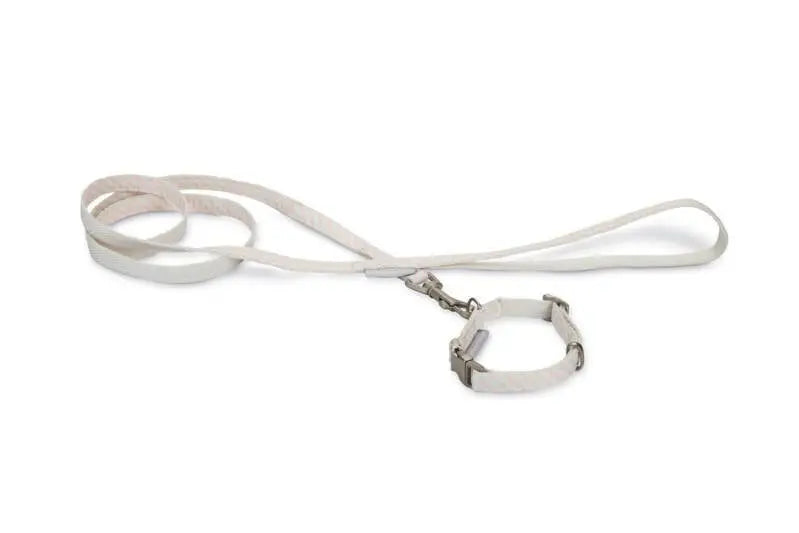 Beeztees Puppy Set Halsband en lijn Rina roze 20-30x10