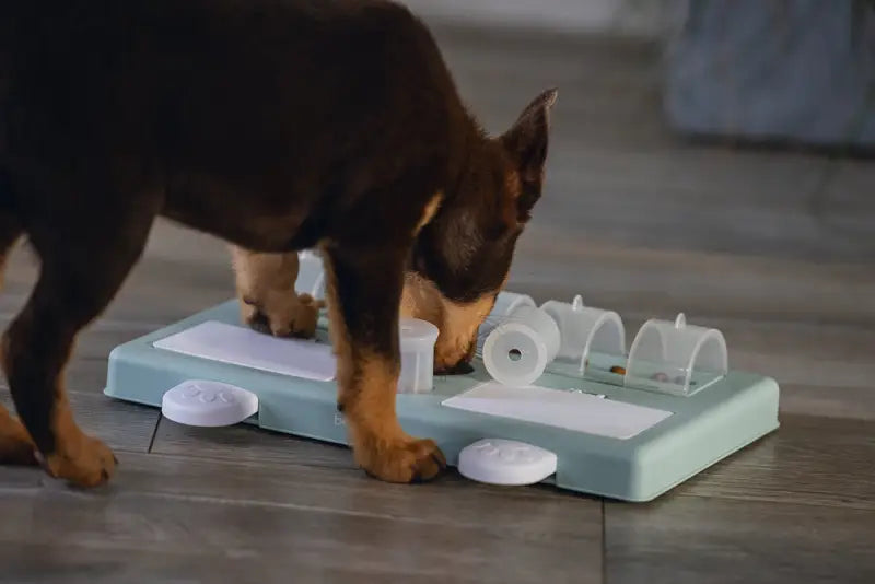 Beeztees Puppy Trainingsspel Riff