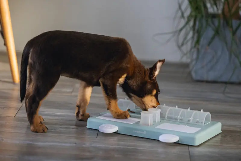 Beeztees Puppy Trainingsspel Riff