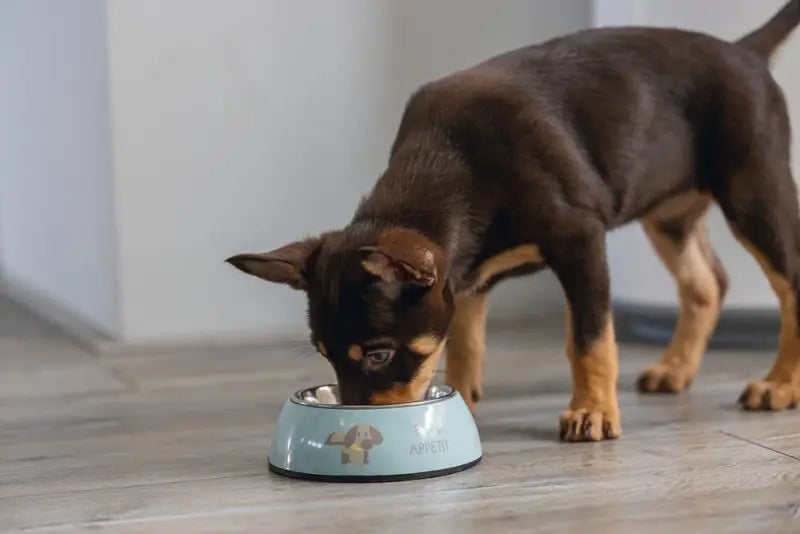 Beeztees Puppy Voerbak Droppy 14 cm — Groen