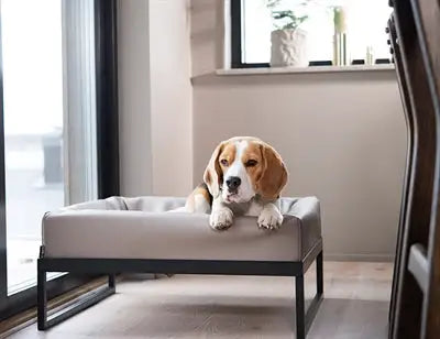 Bia Air Frame Voor Bia Bed Zwart