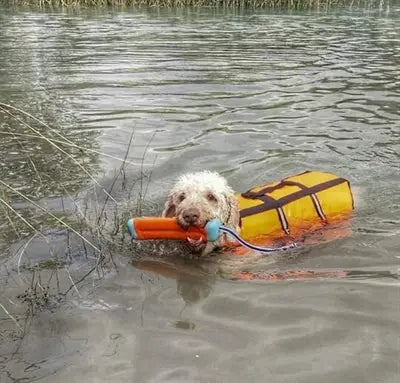 Chuckit Amphibious Bumper Assorti