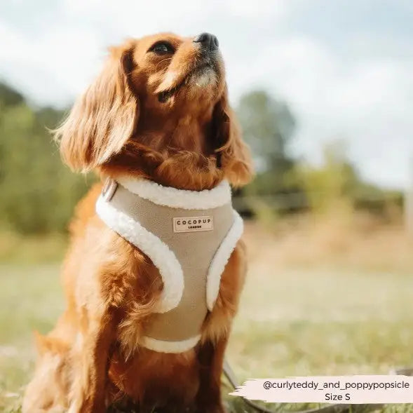 Cocopup London Hondenharnas Aviator M — Beige