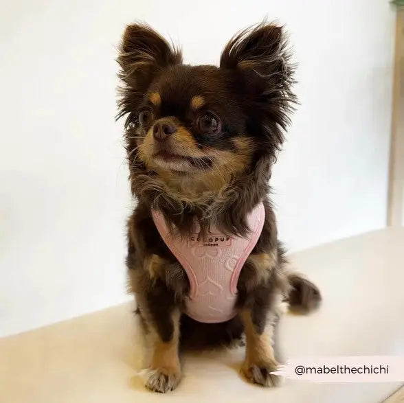 Cocopup London Hondenharnas Baby Pink Heart XS — Roze