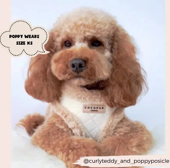 Cocopup London Hondenharnas Quilted XS — Beige