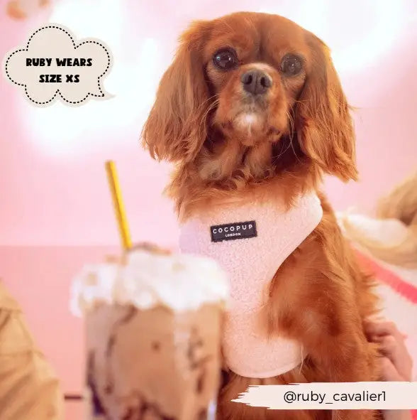 Cocopup London Hondenharnas Teddy Love-a-Lot XS — Roze