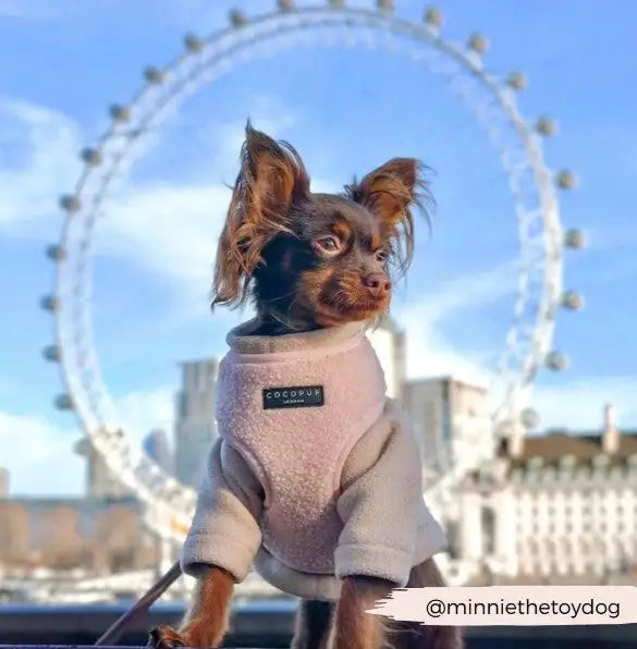 Cocopup London Hondenharnas Teddy Love-a-Lot XS — Roze