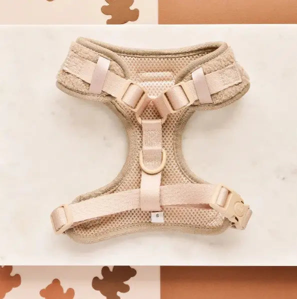Cocopup London Hondenharnas Teddy XS — Beige - Hondentuigje