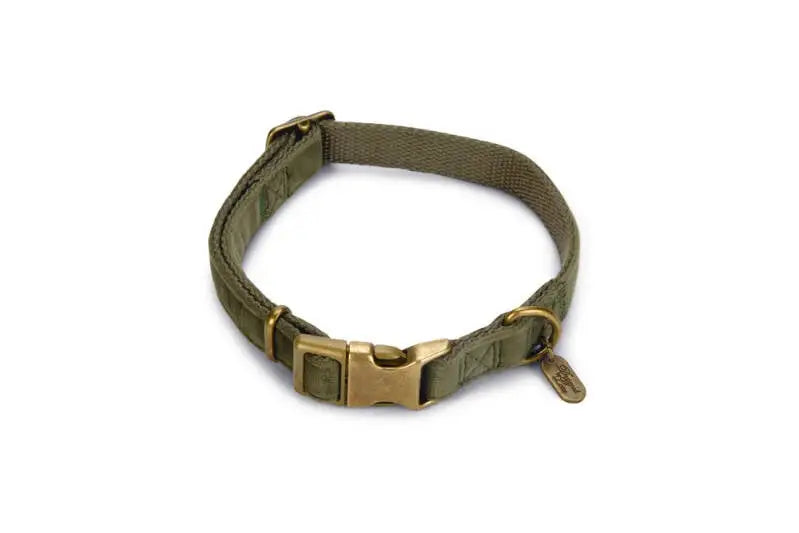 Designed by Lotte Hondenhalsband Velura 35-50 cm — Groen