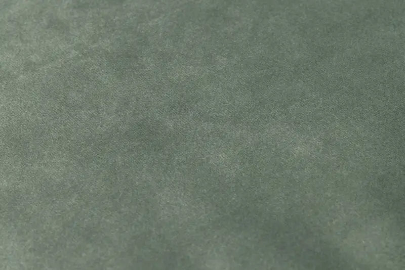Designed by Lotte Hondenkussen Nalino — Groen - BEDDEN/MANDEN/KUSSENS