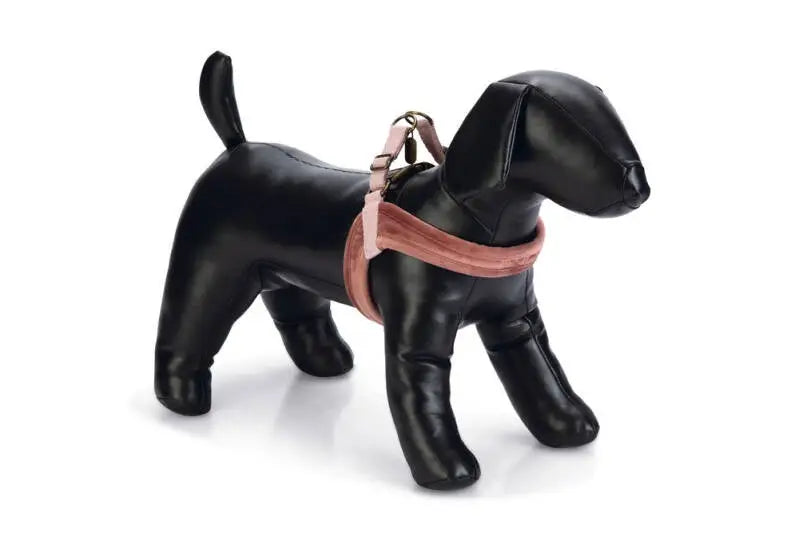 Designed by Lotte Hondentuig Velura XS 46 cm — Roze
