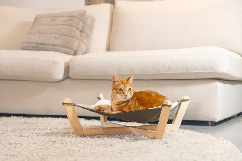 Designed by Lotte Kattenhangmat Gaia — Beige / Grijs