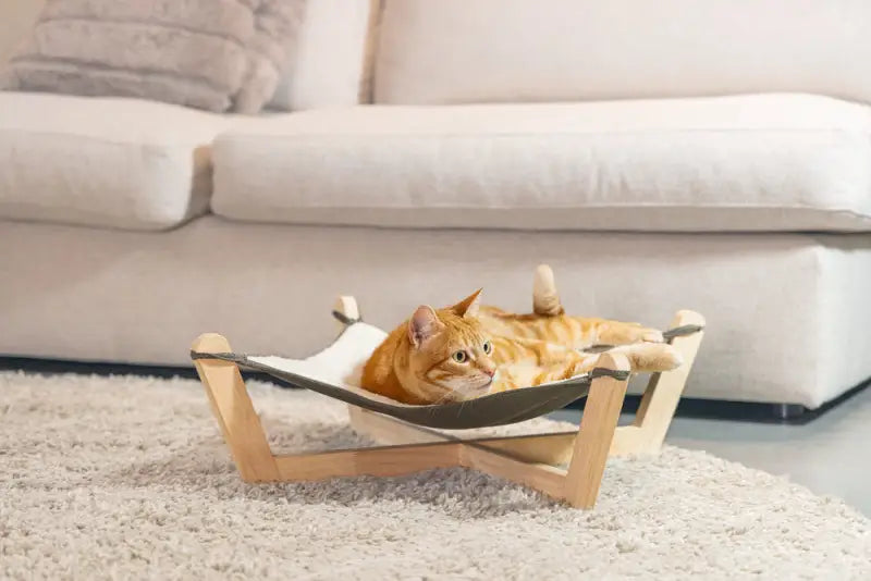 Designed by Lotte Kattenhangmat Gaia — Beige / Grijs