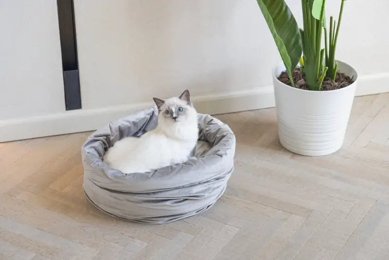 Designed by Lotte Kattenmand Fluco — Grijs - BEDDEN/MANDEN/KUSSENS