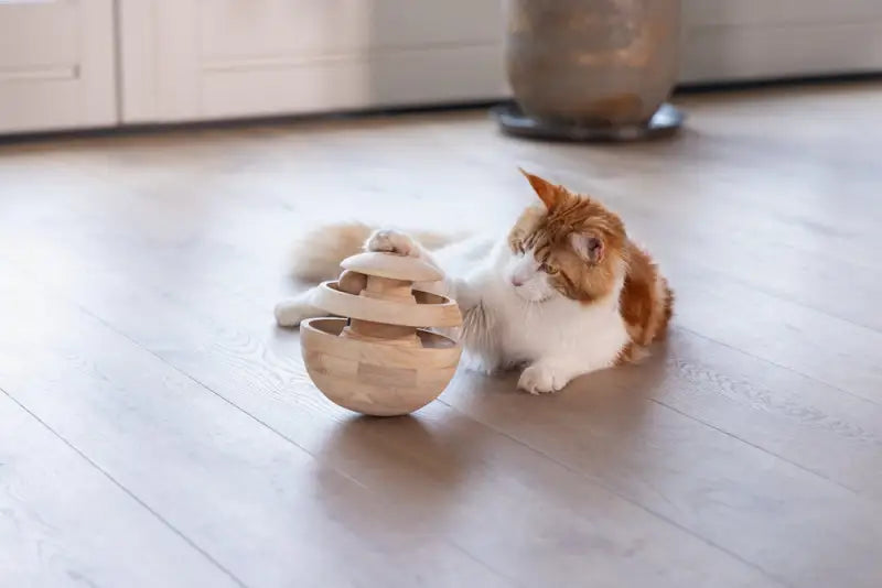 Designed by Lotte Kattenspeelgoed Neya