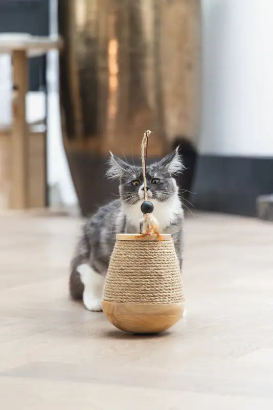 Designed by Lotte Kattenspeelgoed Tuimel Mae
