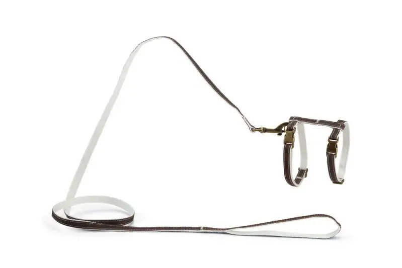 Designed by Lotte Kattentuigje Virante — Bruin