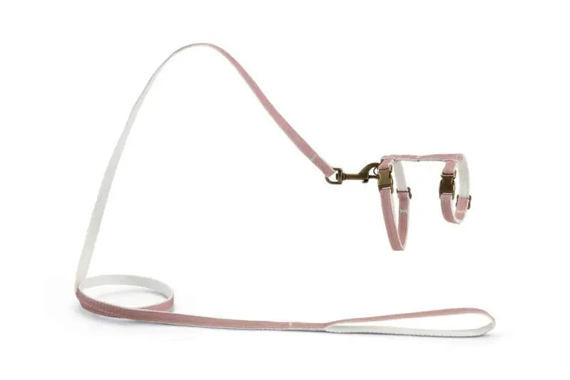 Designed by Lotte Kattentuigje Virante — Roze