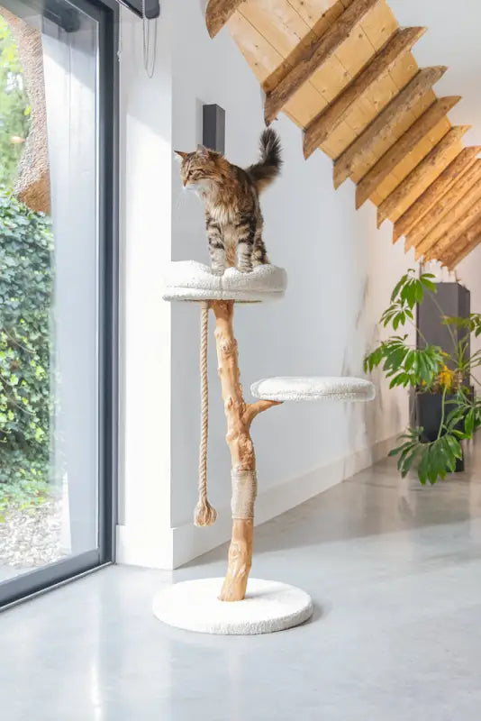 Designed by Lotte Krabpaal Vilja 110x50 cm — Crème