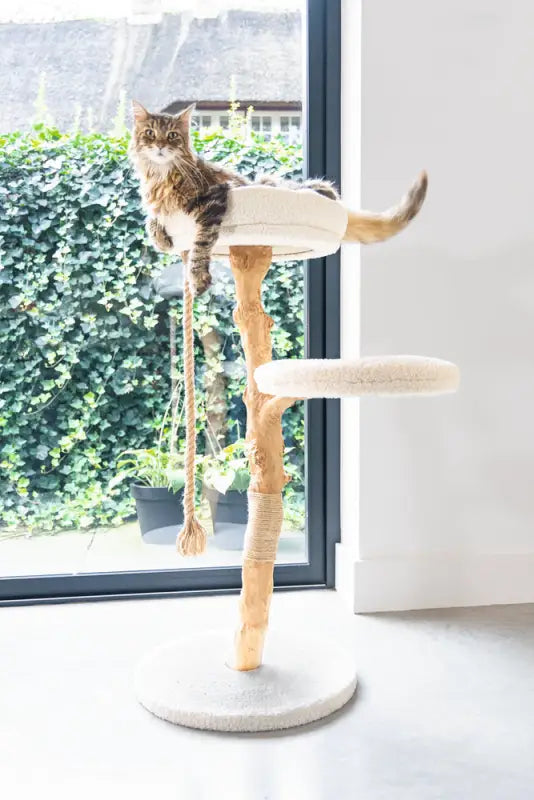 Designed by Lotte Krabpaal Vilja 110x50 cm — Crème