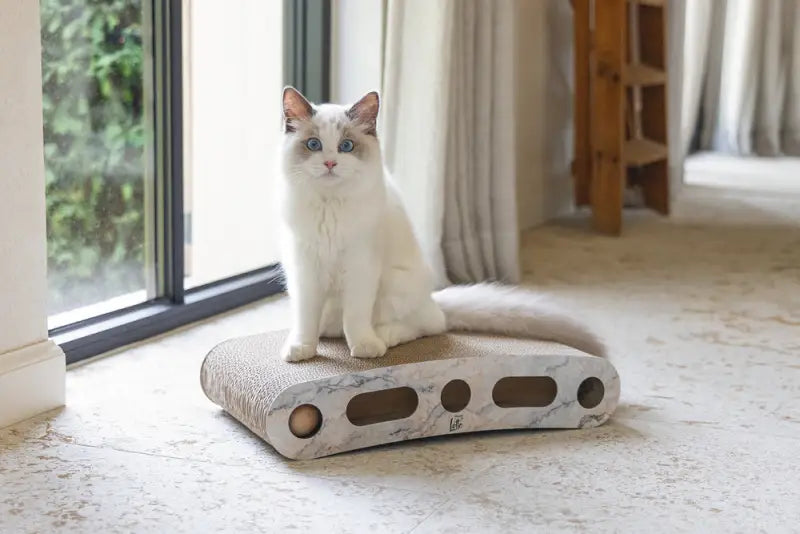 Designed by Lotte Krabspeelgoed Suvi 46x25x9 cm — Beige
