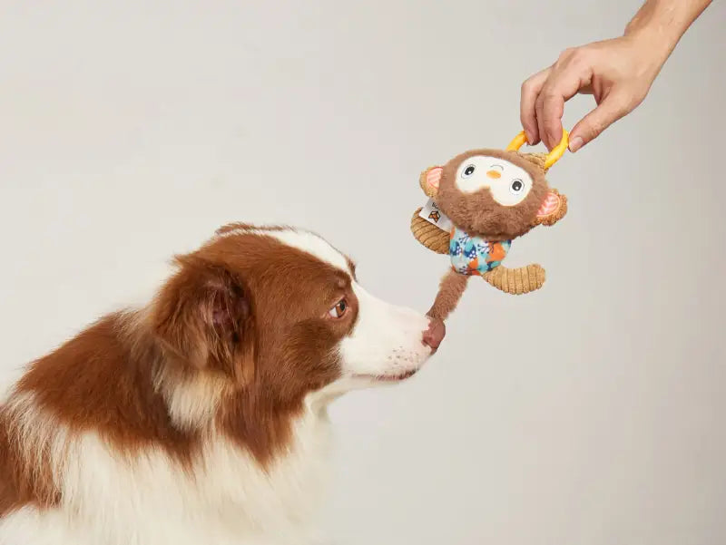 Fofos Puppy Aapje — Bruin - SPEELGOED