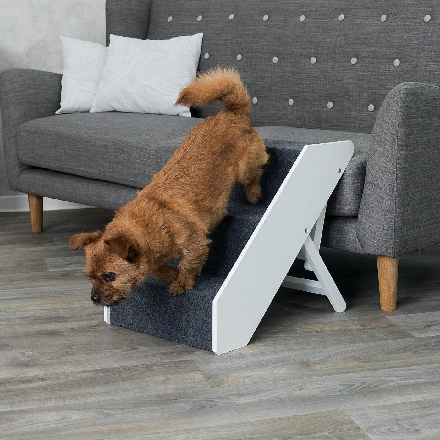 Hond gebruikt grijze en witte huisdiertreden.