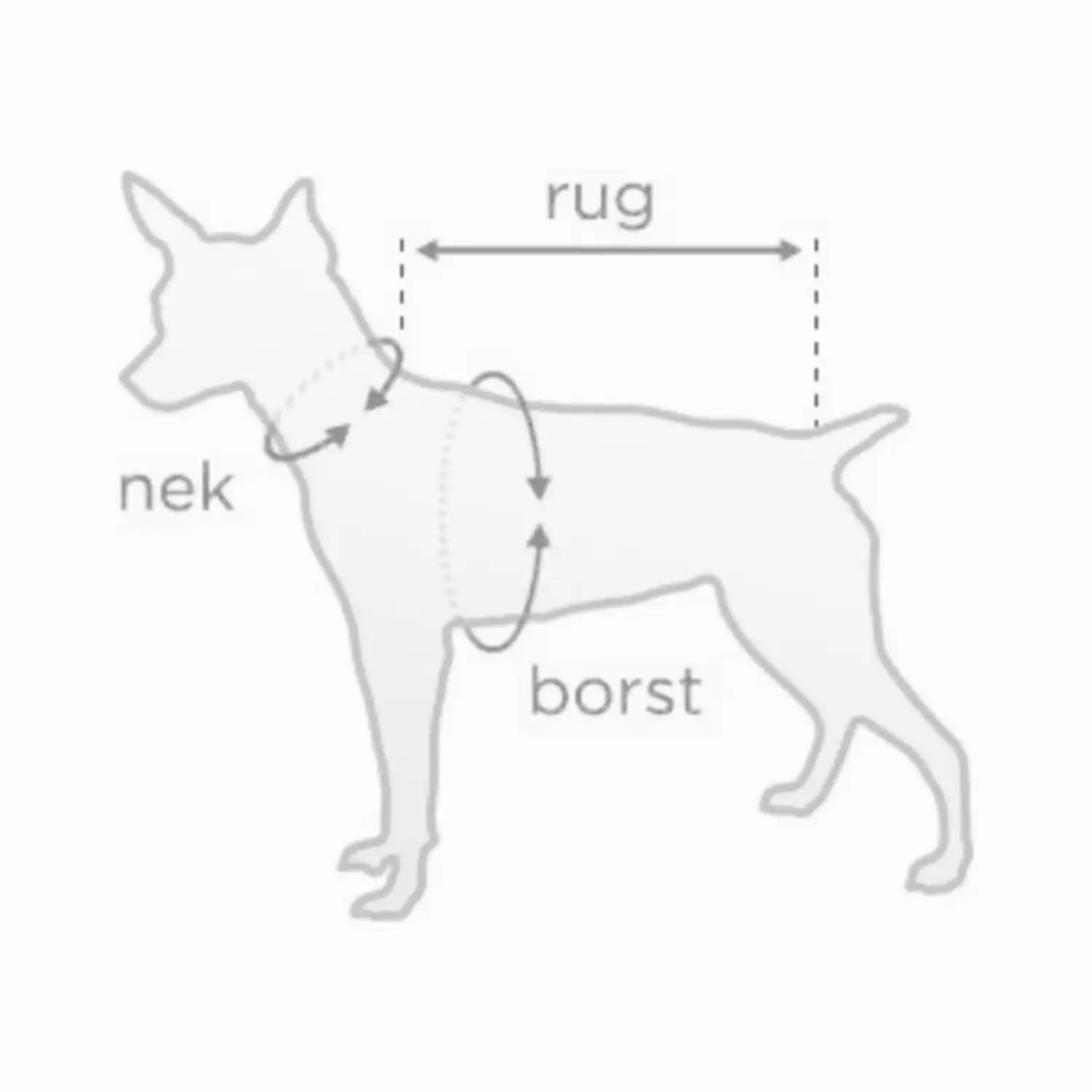 Hond meetdiagram.