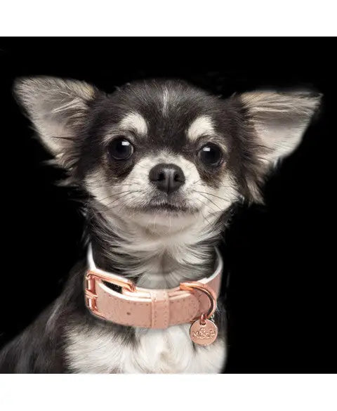 Hondenhalsband ArtLeather Safira 25 cm x 1,5 cm — Roze - HALSBANDEN/LIJNEN LEER