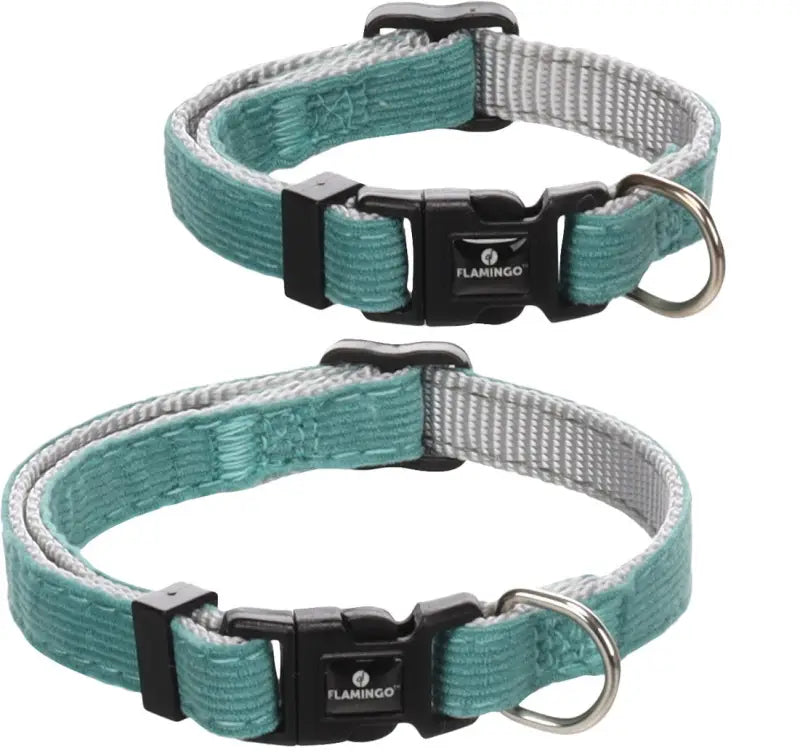 Hondenhalsband Elfi 15 25 cm — Turquoise HALSBANDEN/LIJNEN NYLON