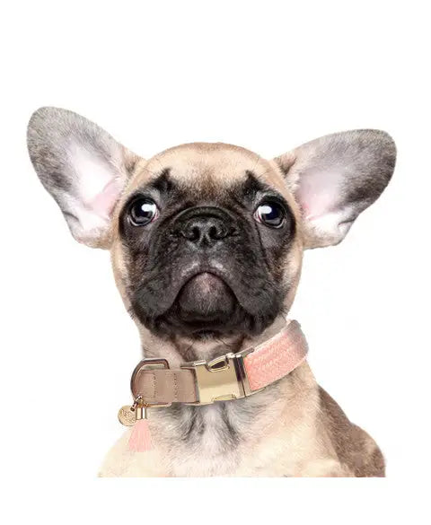 Hondenhalsband Kaya 25-36 cm x 1,5 cm — Roze - HALSBANDEN/LIJNEN LEER