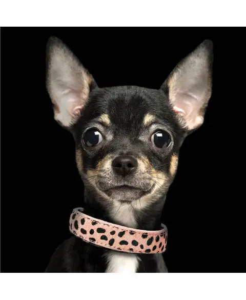 Hondenhalsband leer Guepard 30 cm x 1,5 cm — Roze - HALSBANDEN/LIJNEN LEER