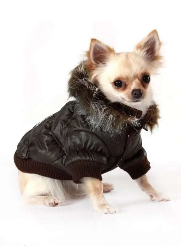 Hondenjas Luxury Quilted Parka — Donkerbruin - Hondenjas