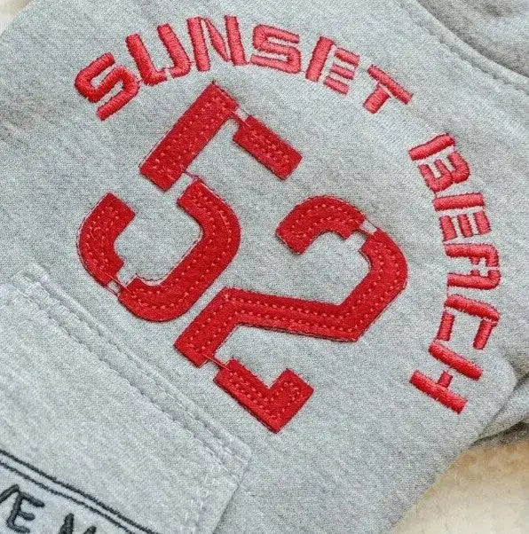 Hondenjas Sunset Beach — Grijs Hondenjas