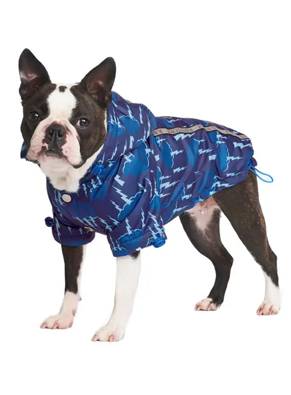 Hondenjasje Storm Print Rainstorm — Blauw - Hondenjas