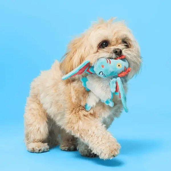 Hondenspeelgoed Pluche Bark Grimbold The Dragon - SPEELGOED