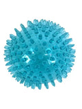 Hondenspeelgoed TPR Pop Stekelbal — Turquoise SPEELGOED