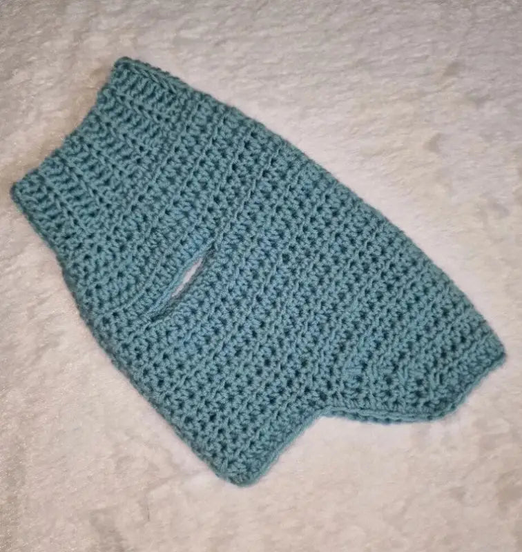 Hondentrui MySweety Baby Merino Turquoise Green — XS - Hondenkleding