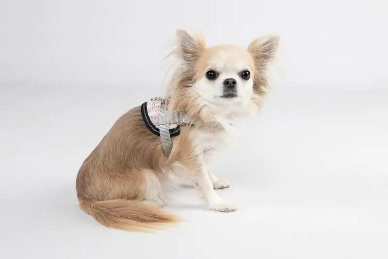 Hondentuigje Eeny Meeny Harnas — Roze S - TUIGJES