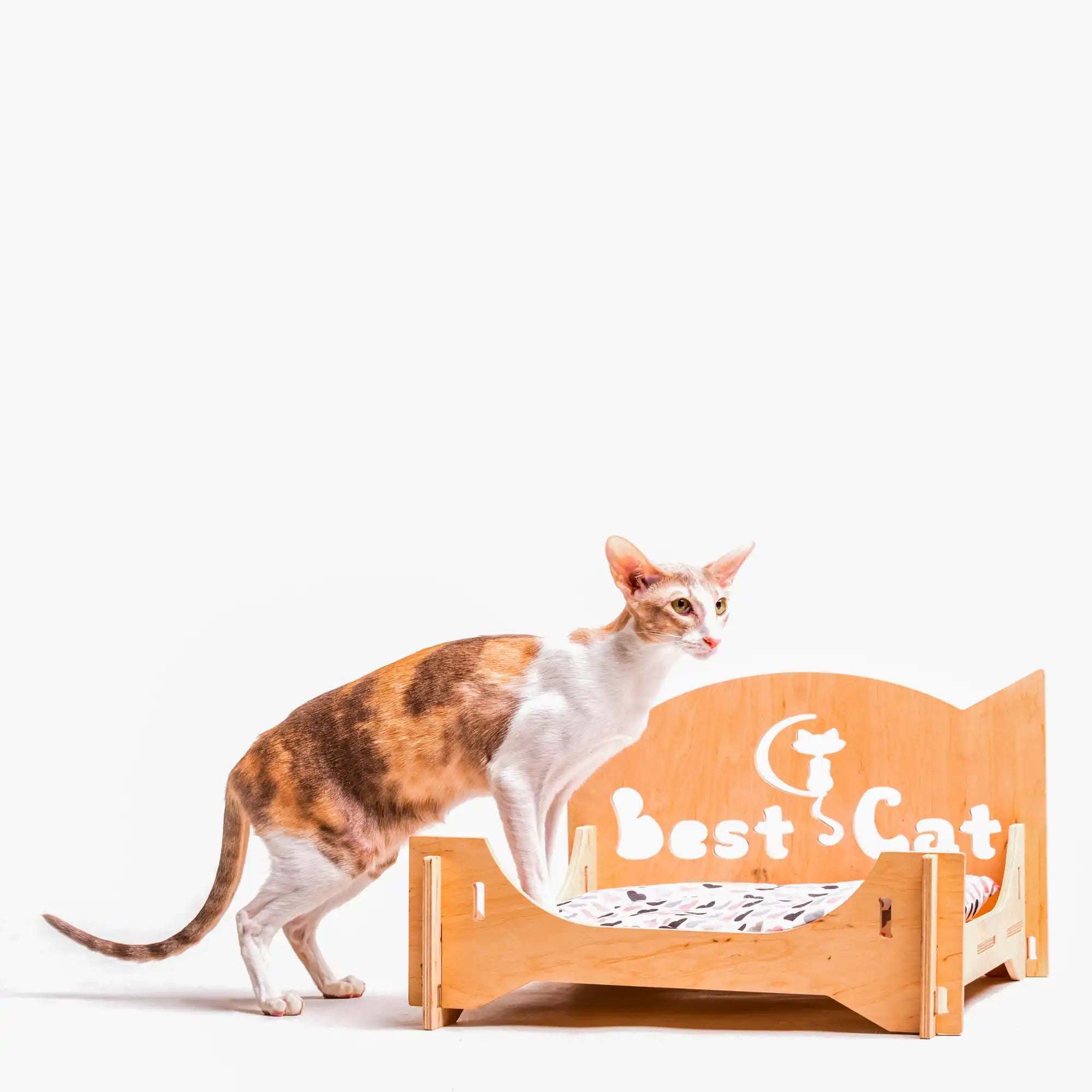 Houten kattenbed met een calico kat.