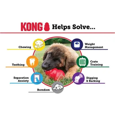 Kong Puppy Roze Of Blauw Assorti